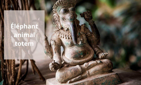 Éléphant animal totem