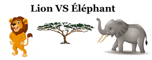 lion vs éléphant