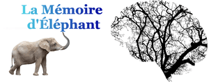 Mémoire d'Éléphant : Explication Scientifique