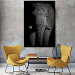 cadre photo elephant noir et blanc