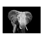 toile elephant noir et blanc