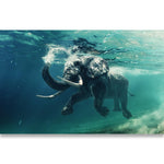 tableau elephant qui nage