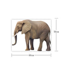 dimensions Sticker Éléphant