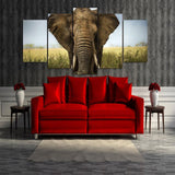 Tableau Africain Avec Éléphant dans un salon
