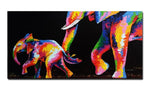 toile elephant couleur